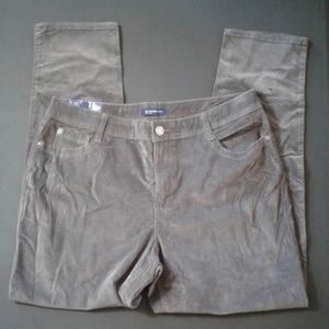 NWT Bandelino Stretch Pin Whale Lucie Skinny Plus